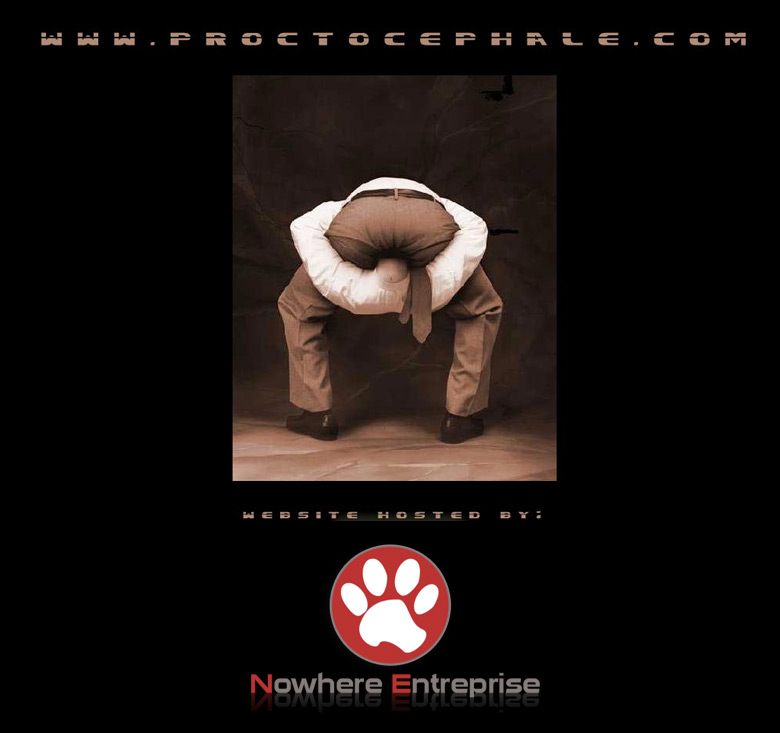 www.proctocephale.com - website hosted by Nowhere Entreprise